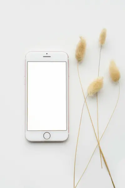 studio phone mockup template